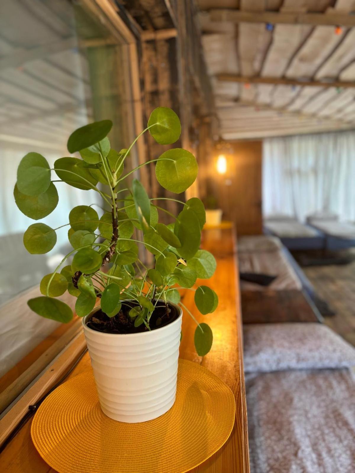 Butterfly House Apartment Pavilosta Exterior photo